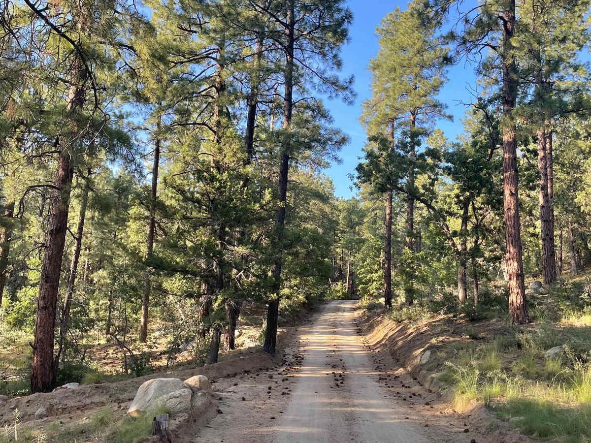 FR 80 trail photo