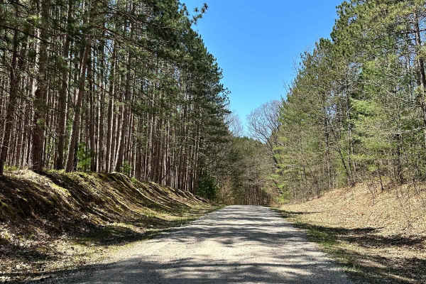 Cadillac Area ORV/OHV Scenic Ride - Part 17
