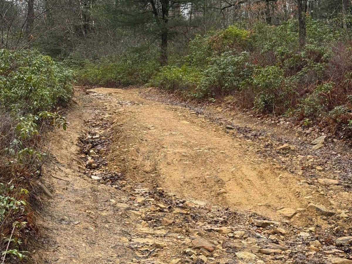 Eddy Lick Trail photo 2