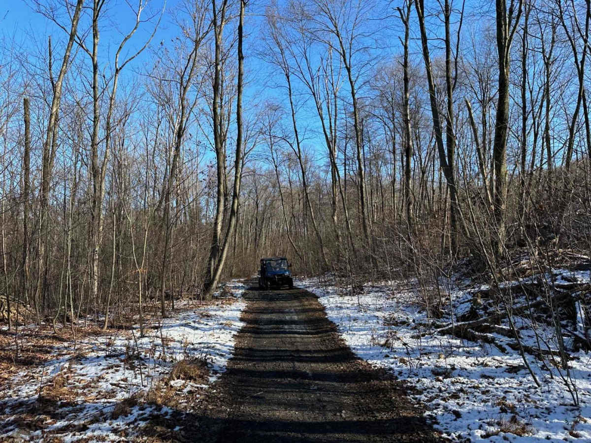 Locust Gap 71 photo 3