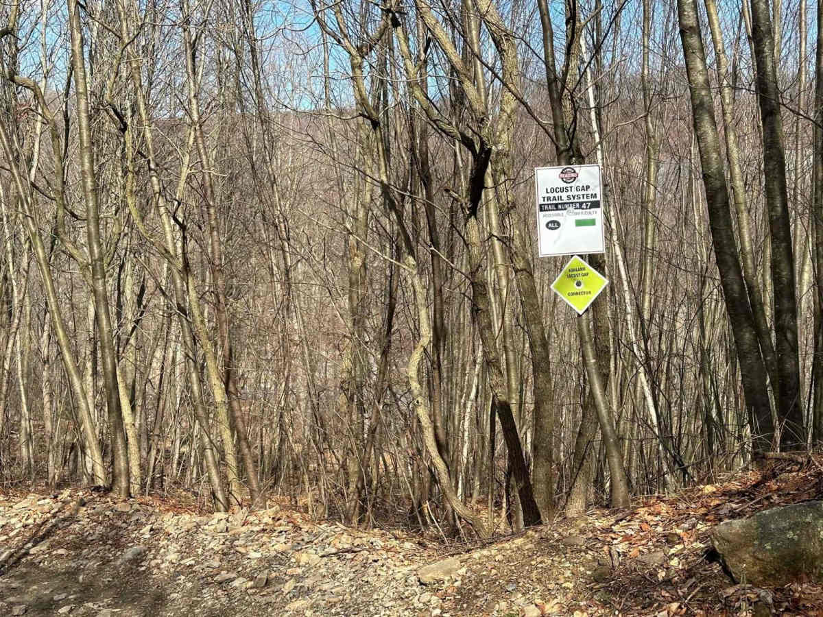 Locust Gap 47 photo 4