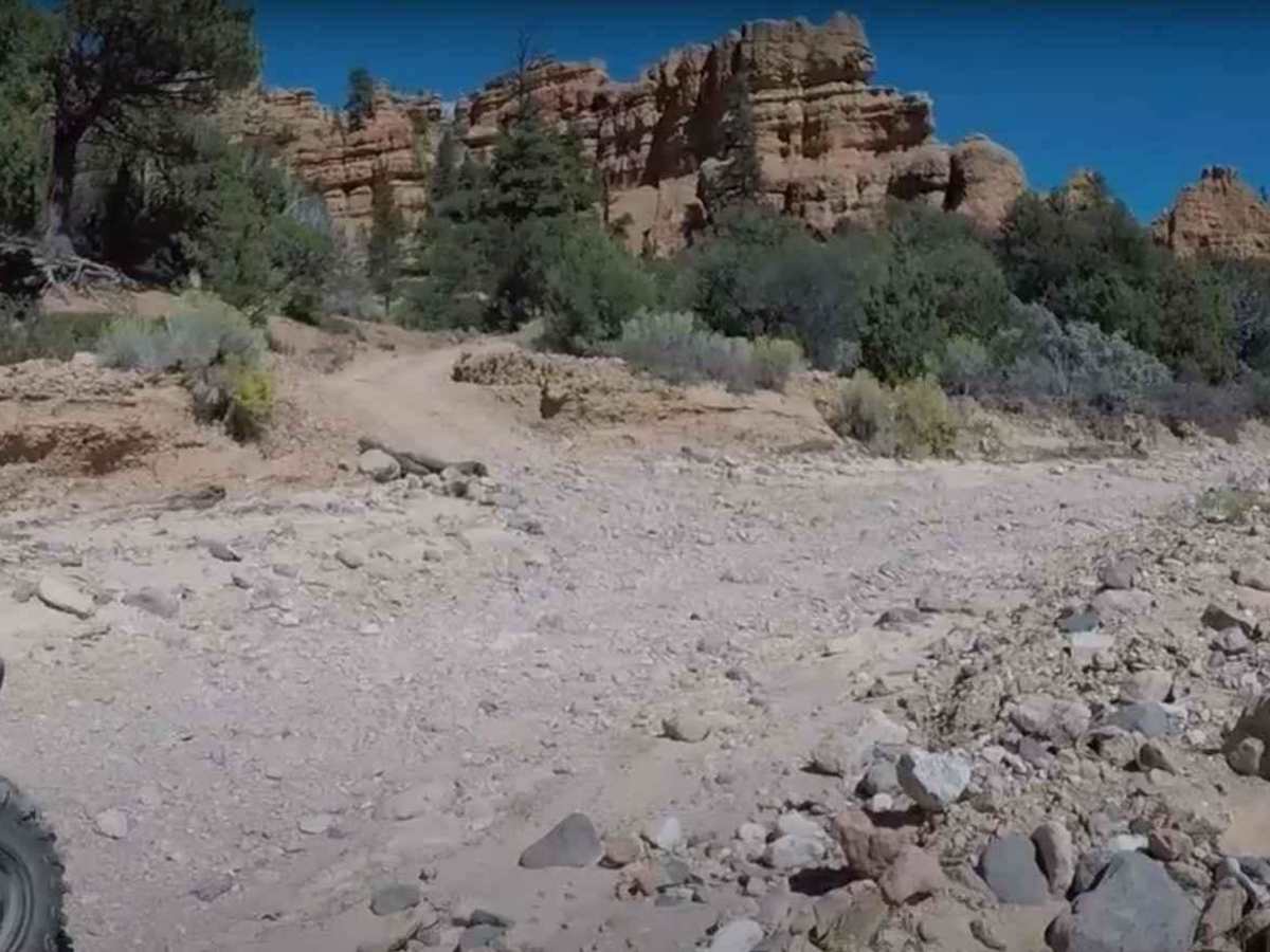 Casto Canyon OHV Trail-NFS33089 photo 4