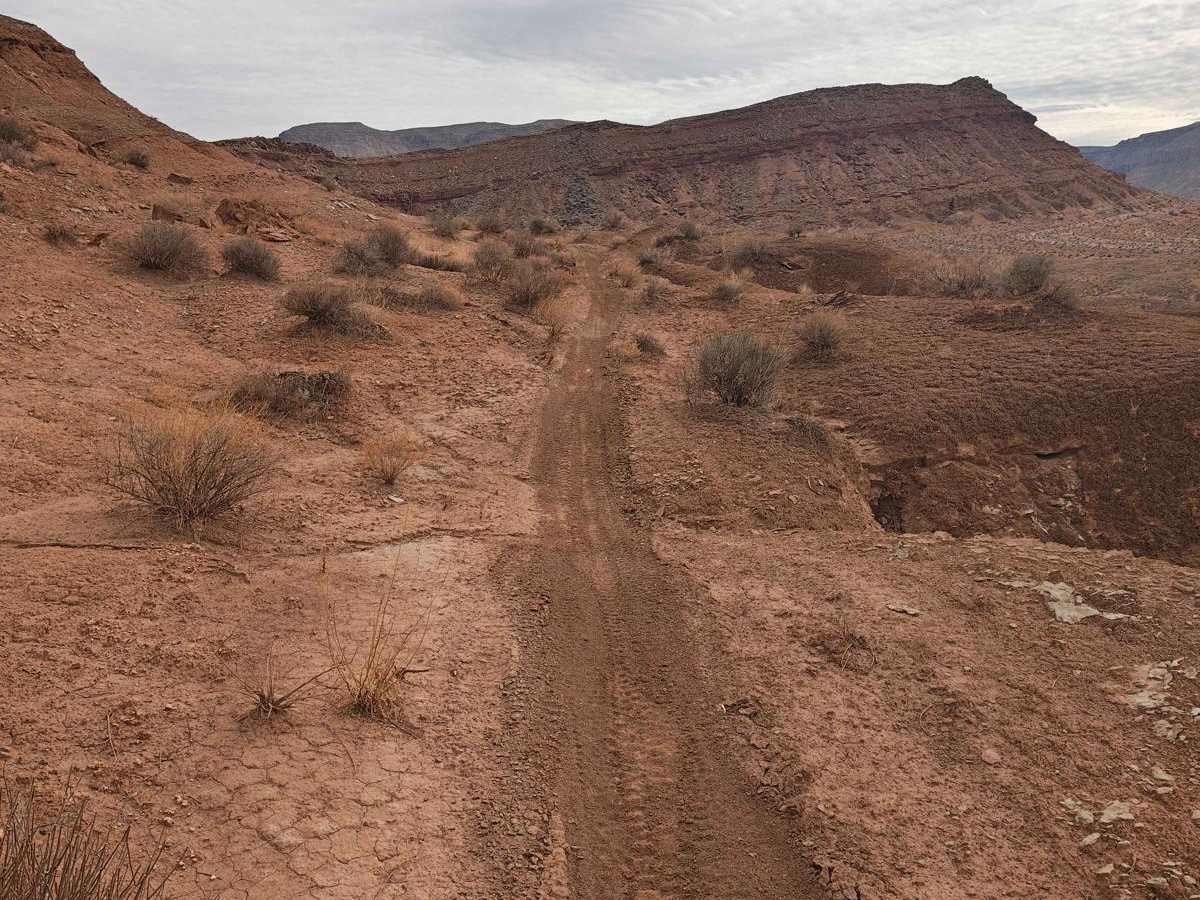 Side Trip - Single Track photo 4