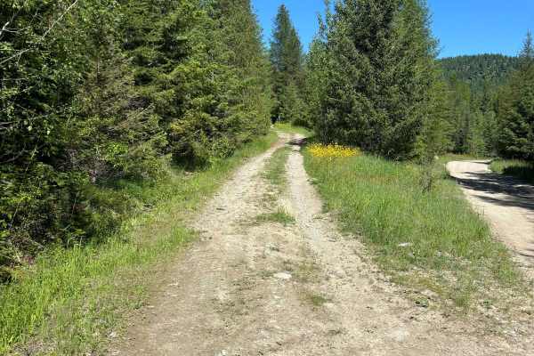 812 ATV Trail