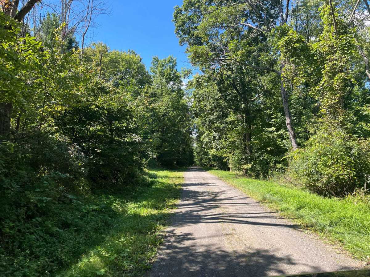 Bull Hill Road photo 3