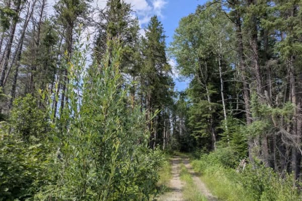 Keeley Creek