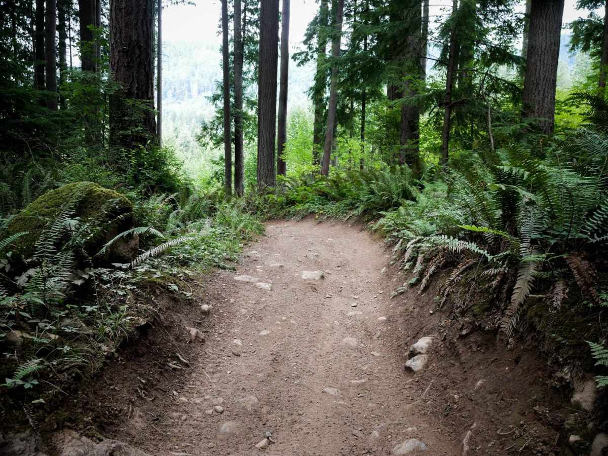 Muddled Meanderings photo 6