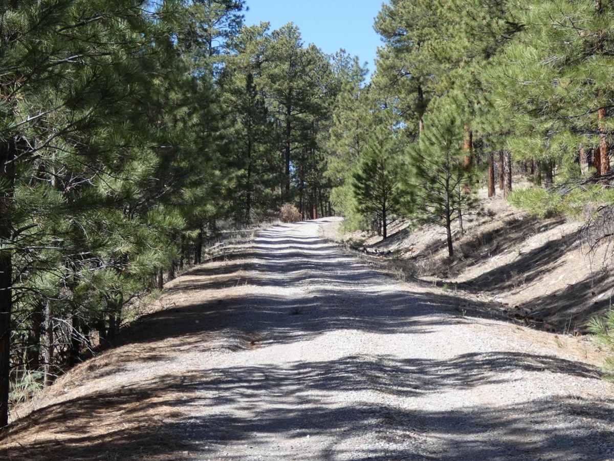 Jacques Canyon FSR-719 photo 2