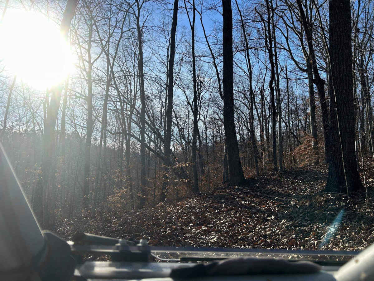 Mud Holler photo 2