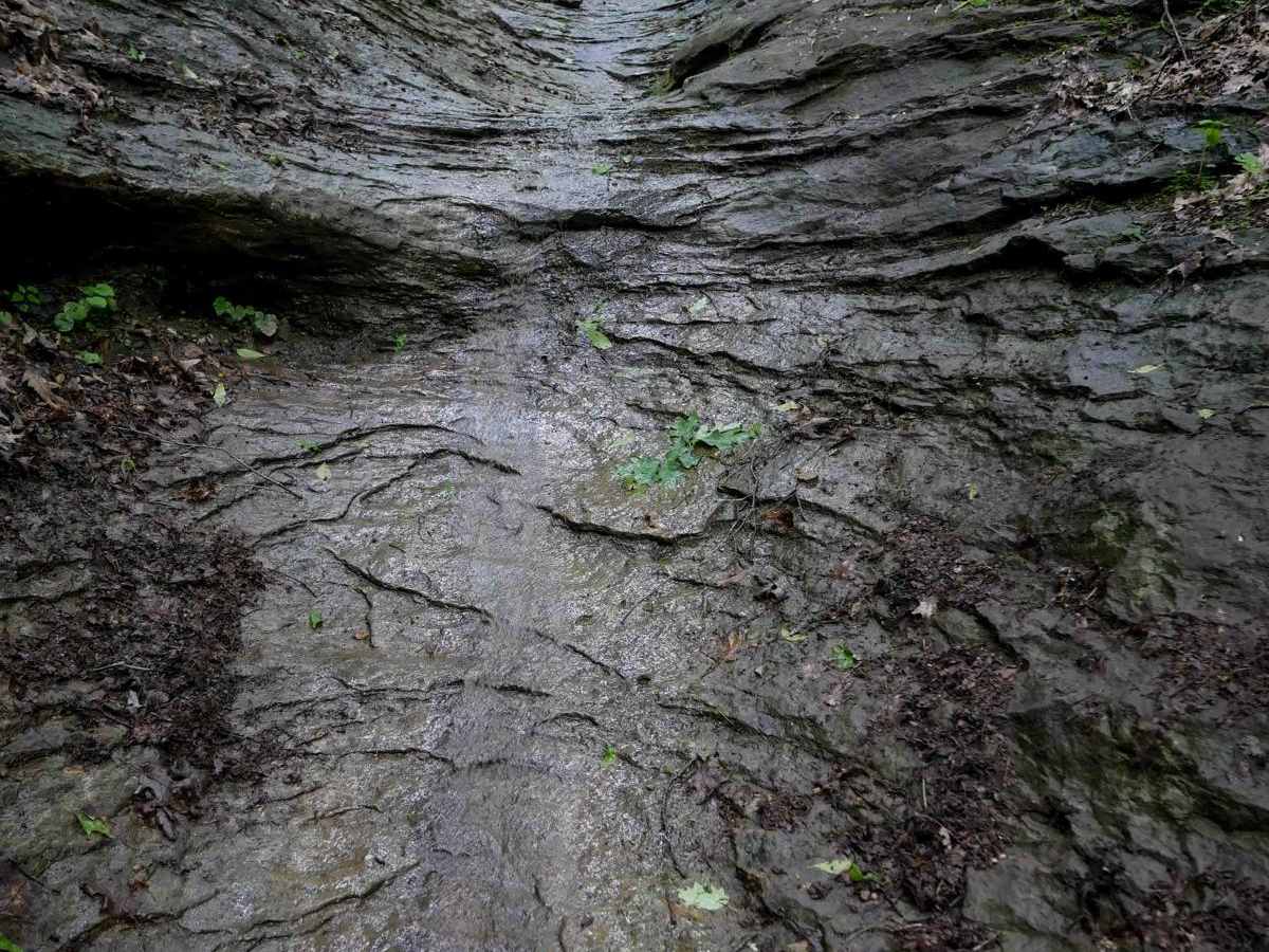 IB 91 trail photo