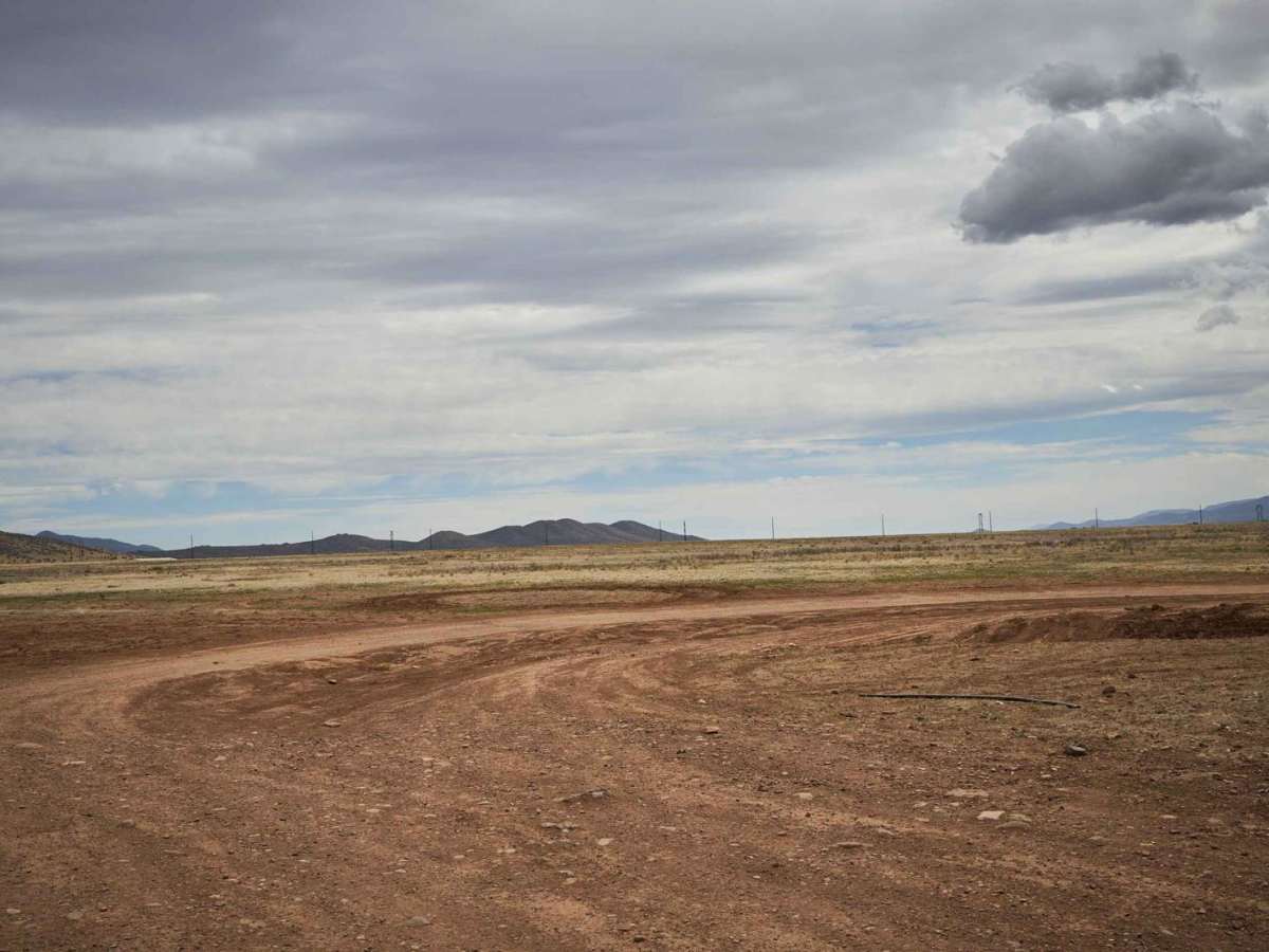 Pasture Blast photo 2