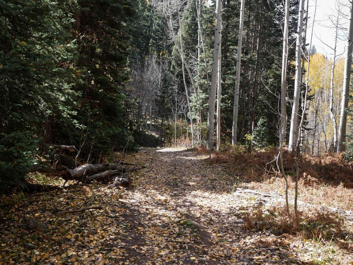 Stealey Mountain Spur ATV photo 5