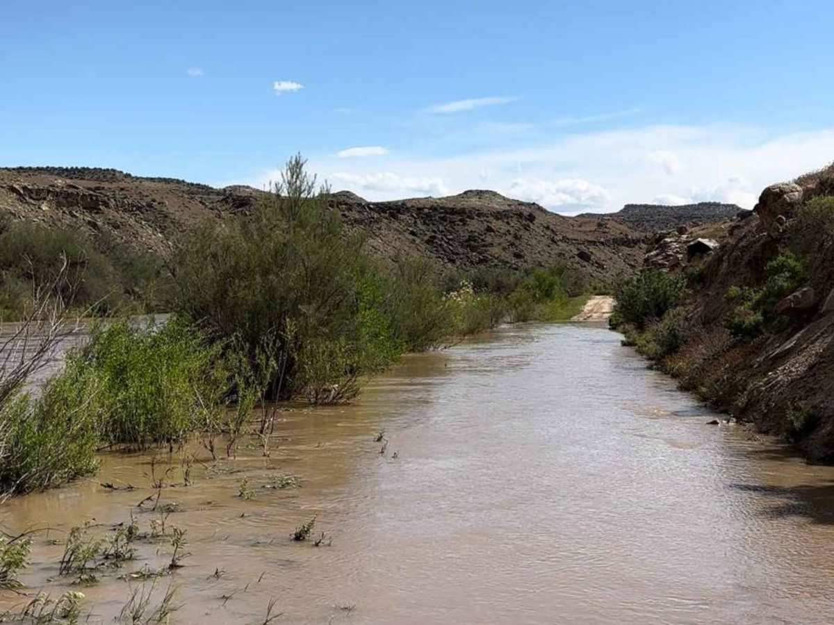BLM Route 107 photo 6