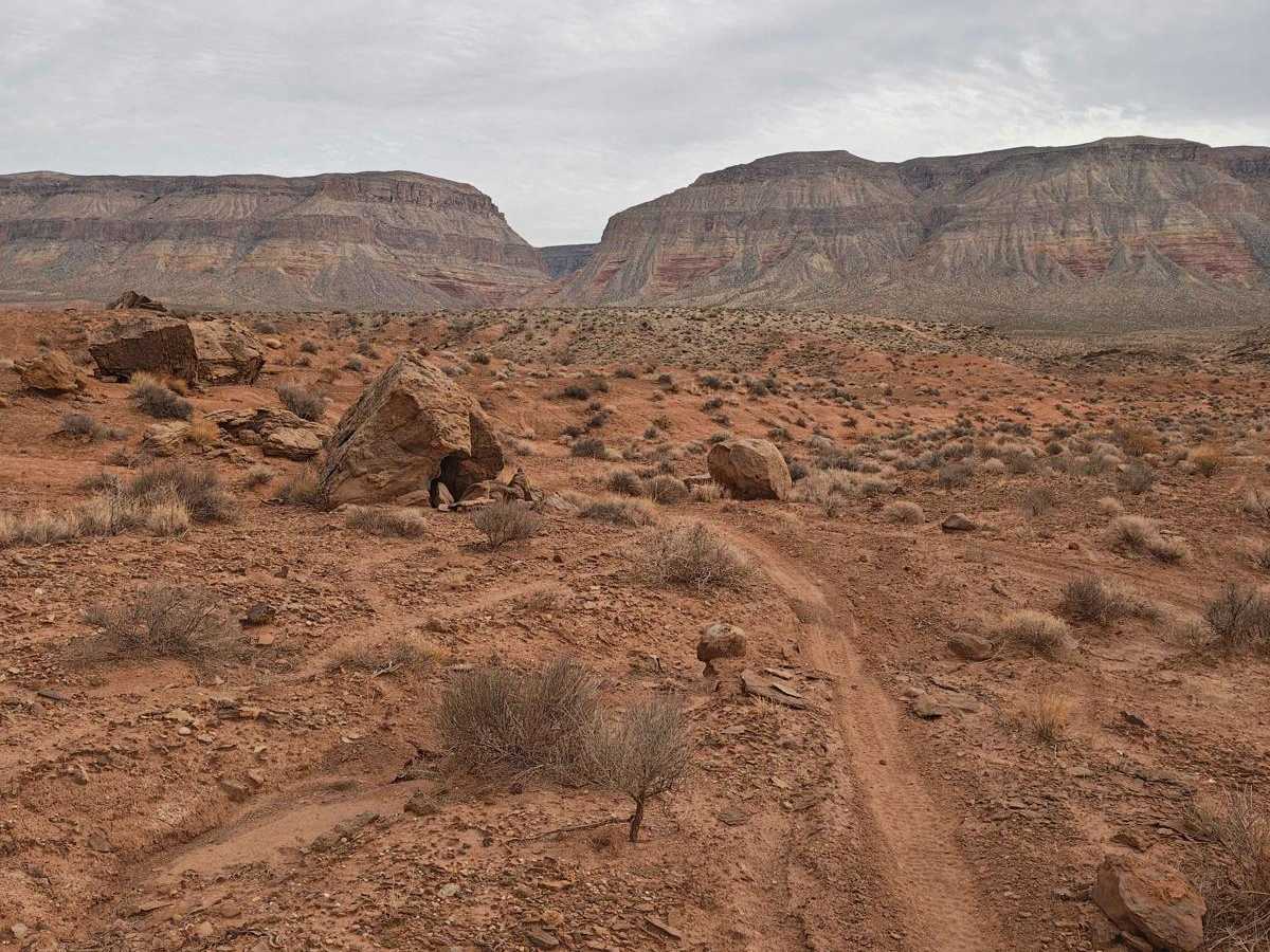 Side Trip - Single Track photo 2