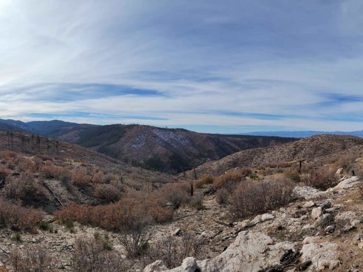 Pecos WIlderness Border Road trail photo