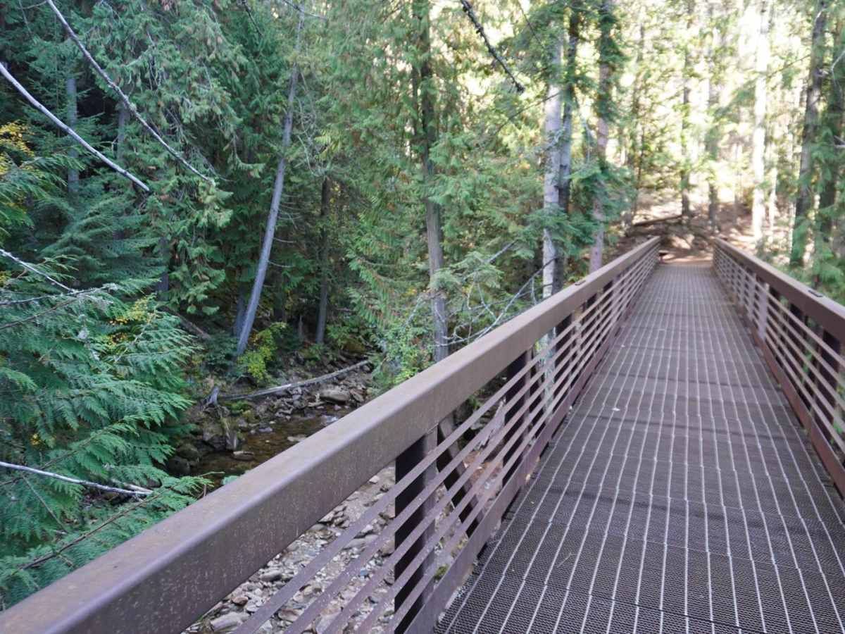 Myrtle Creek 633 photo 4