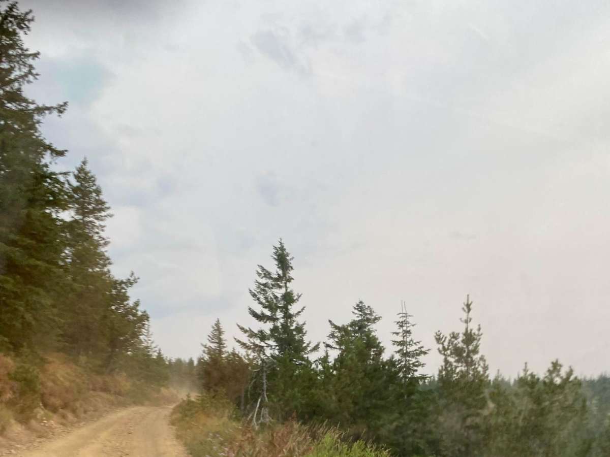 Dry Creek-Cliff Creek photo 5