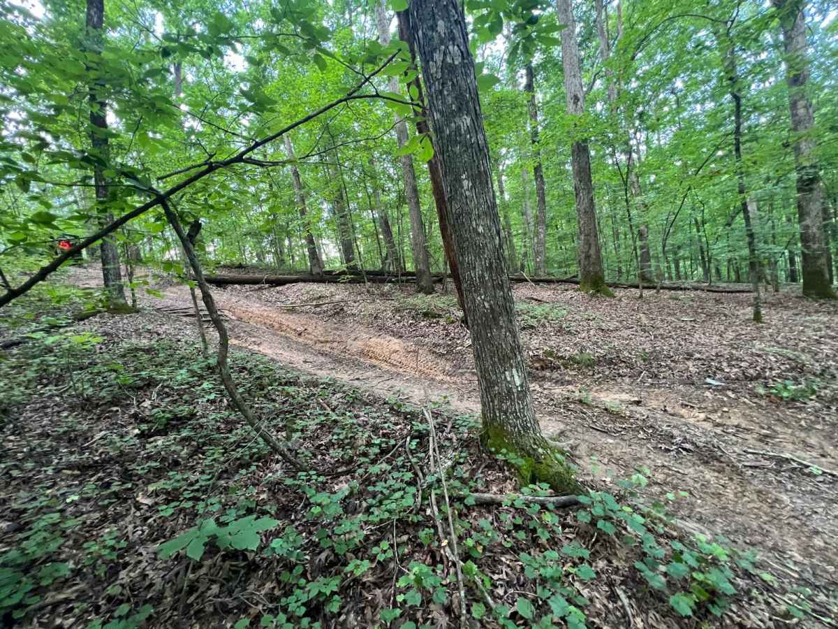 Turkey Bay OHV 7209 photo 4