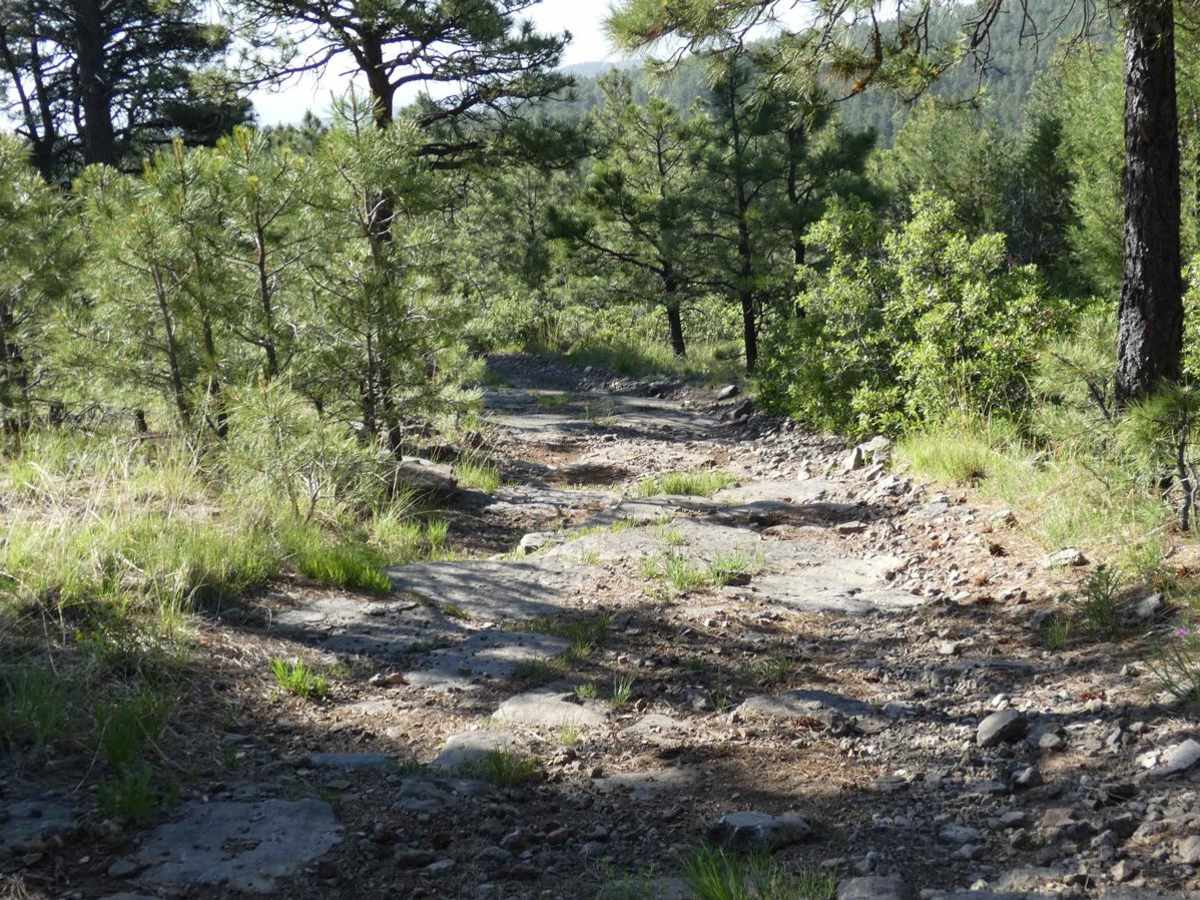 San Geronimo Back Road photo 6