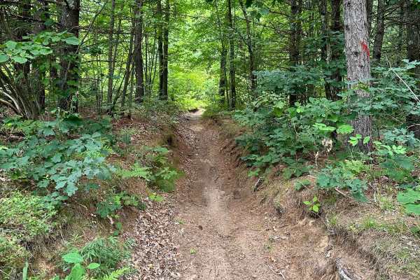 N/E Little Manistee Motorcycle Trail
