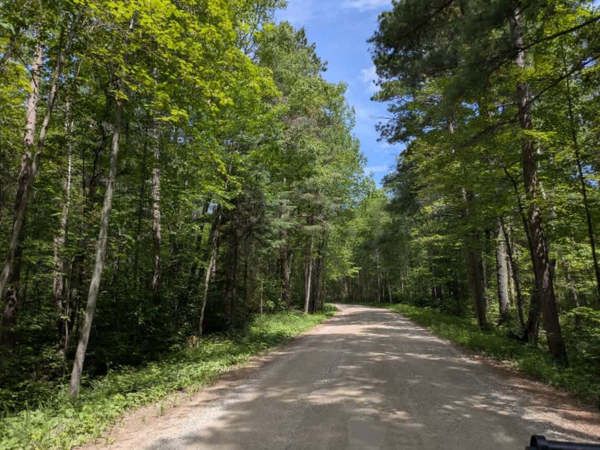 2198 trail photo