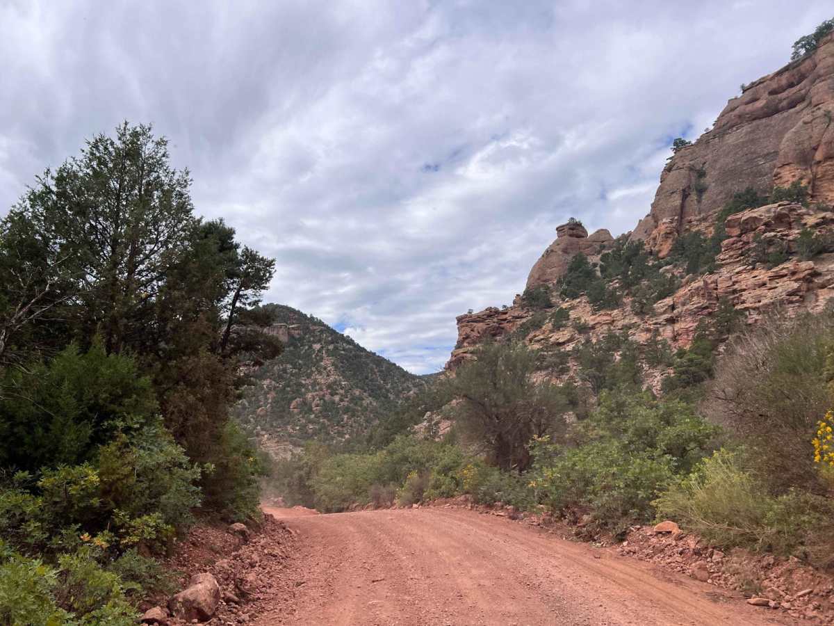 Red Creek Road (FR30078) photo 3