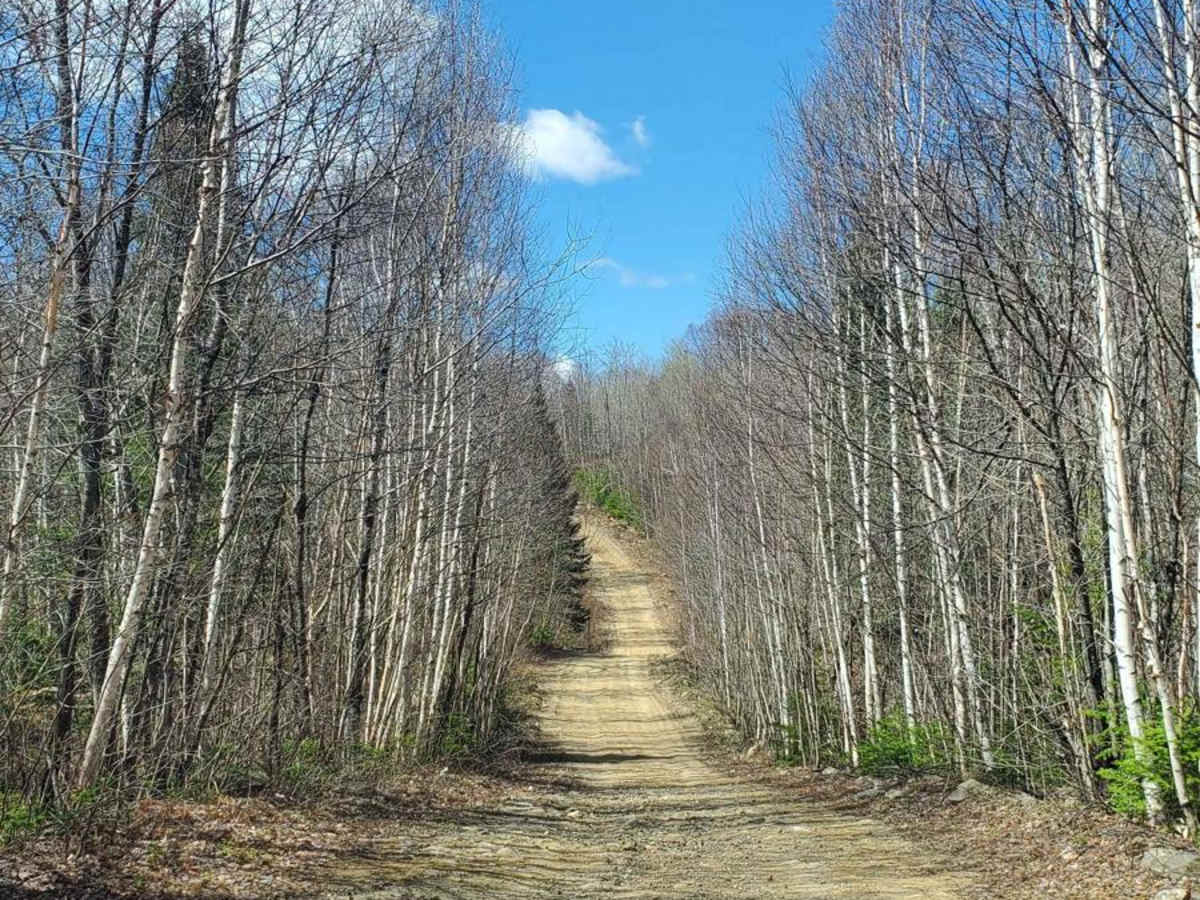 Trail #33 trail photo