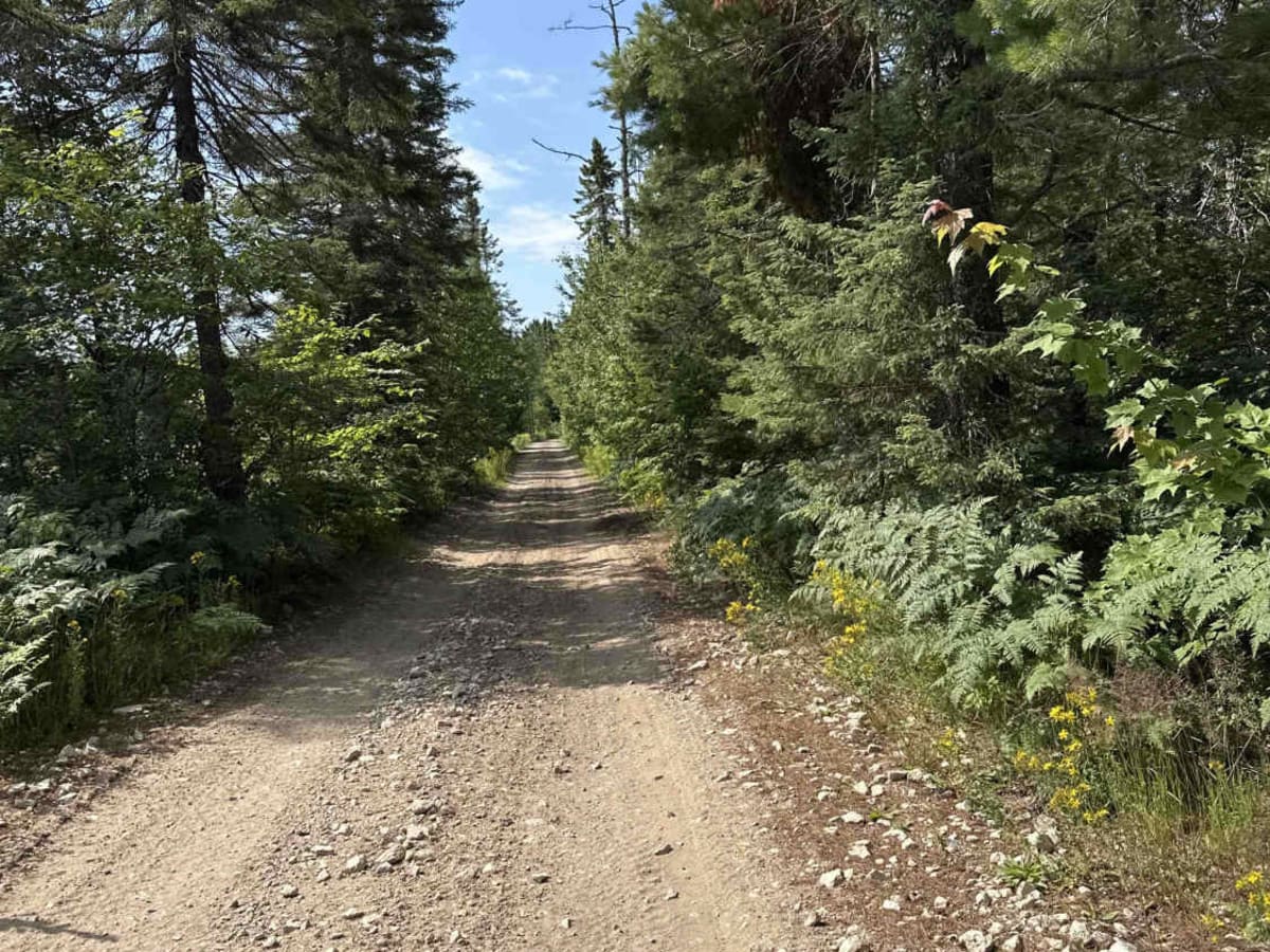Star Road photo 5