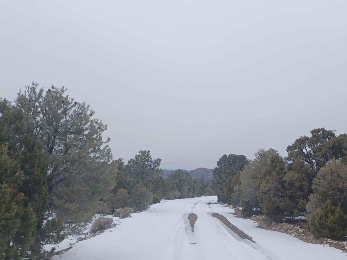 Coal Springs Loop photo 4