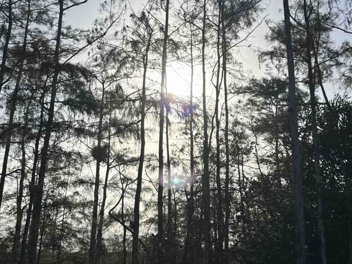 Loop Road - CR 94 photo 5