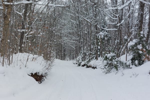 Lake Eva Loop