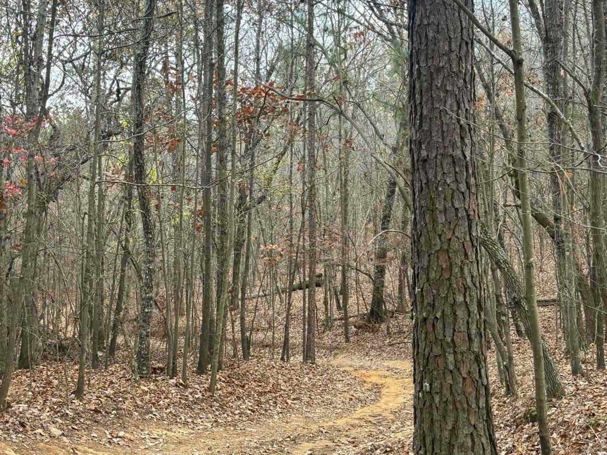 26 trail photo