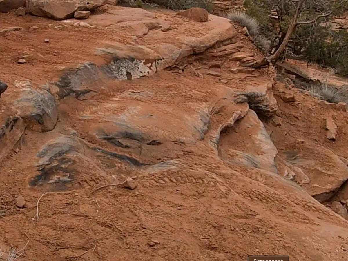 Hunter Canyon (via Behind the Rocks) photo 5