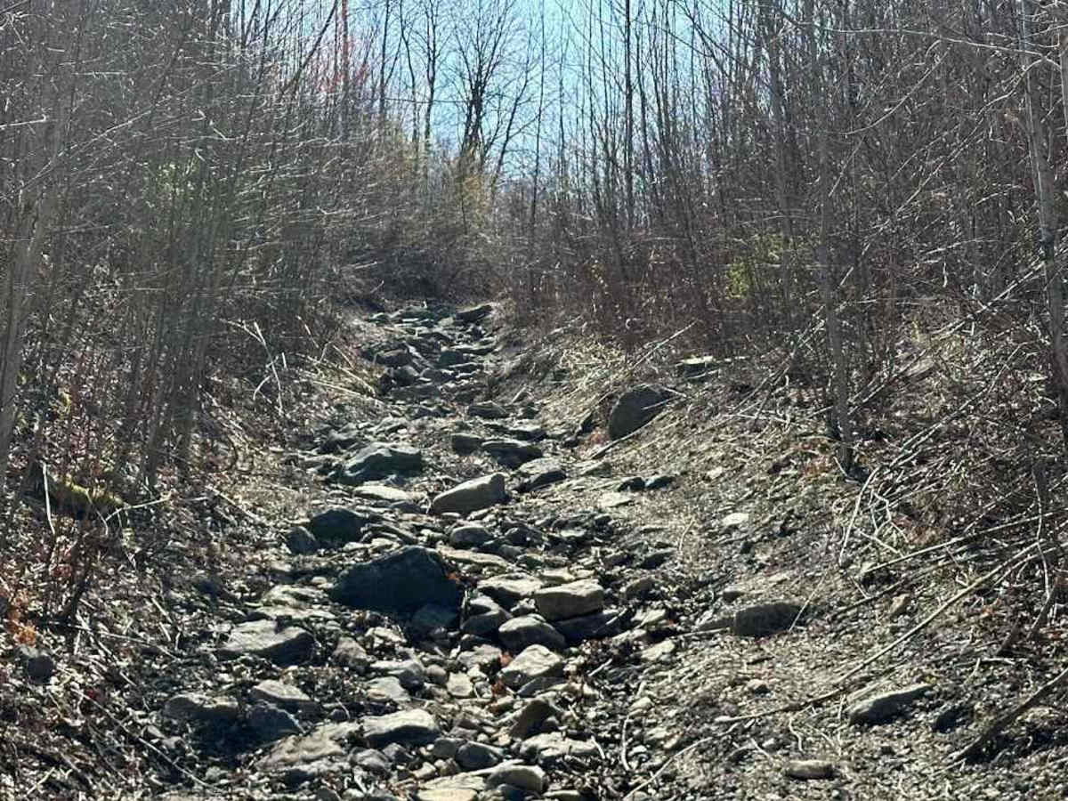 Rocky Road Challenge trail photo