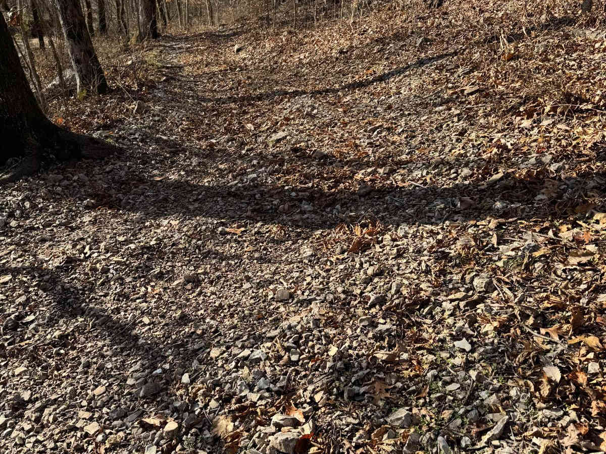 Green 309 trail photo