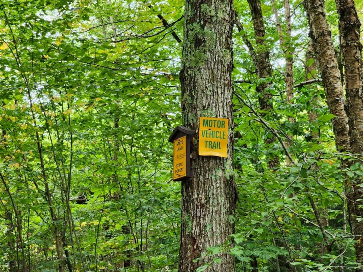 Swancott Hill Fire Tower Site trail photo