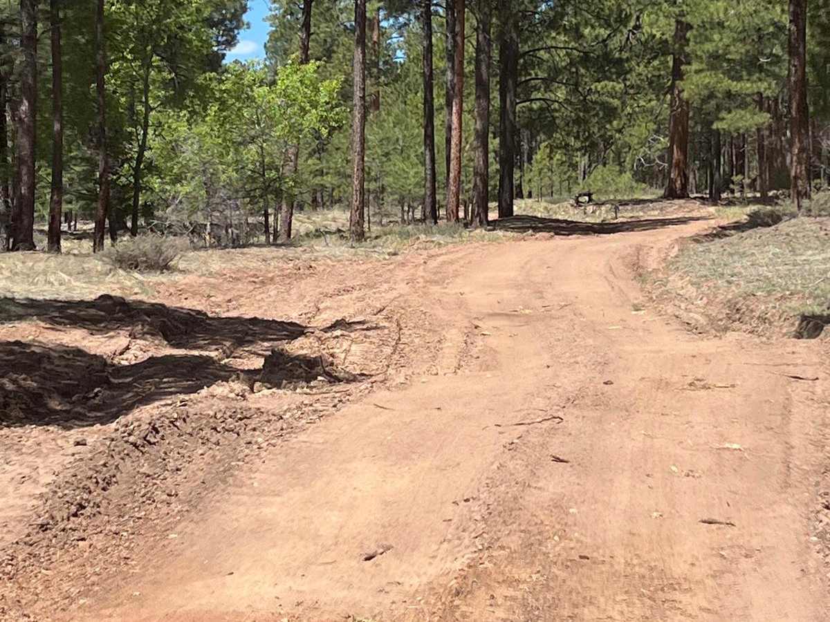 FS 161 West Fork photo 5