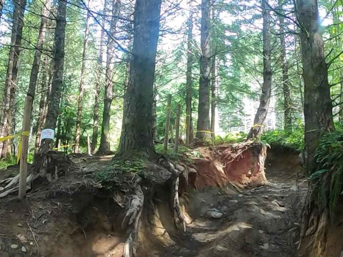 Sunrise Trail photo 3