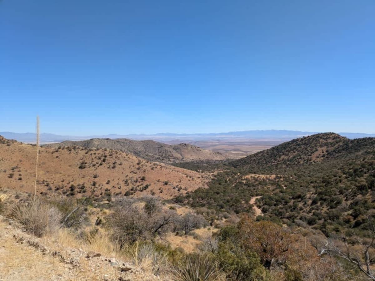 Middlemarch Pass trail photo