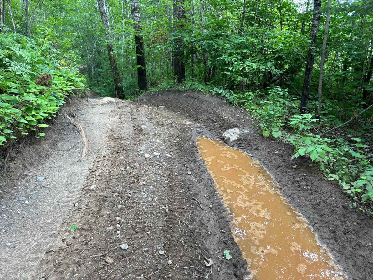 Leprechaun Lane photo 5