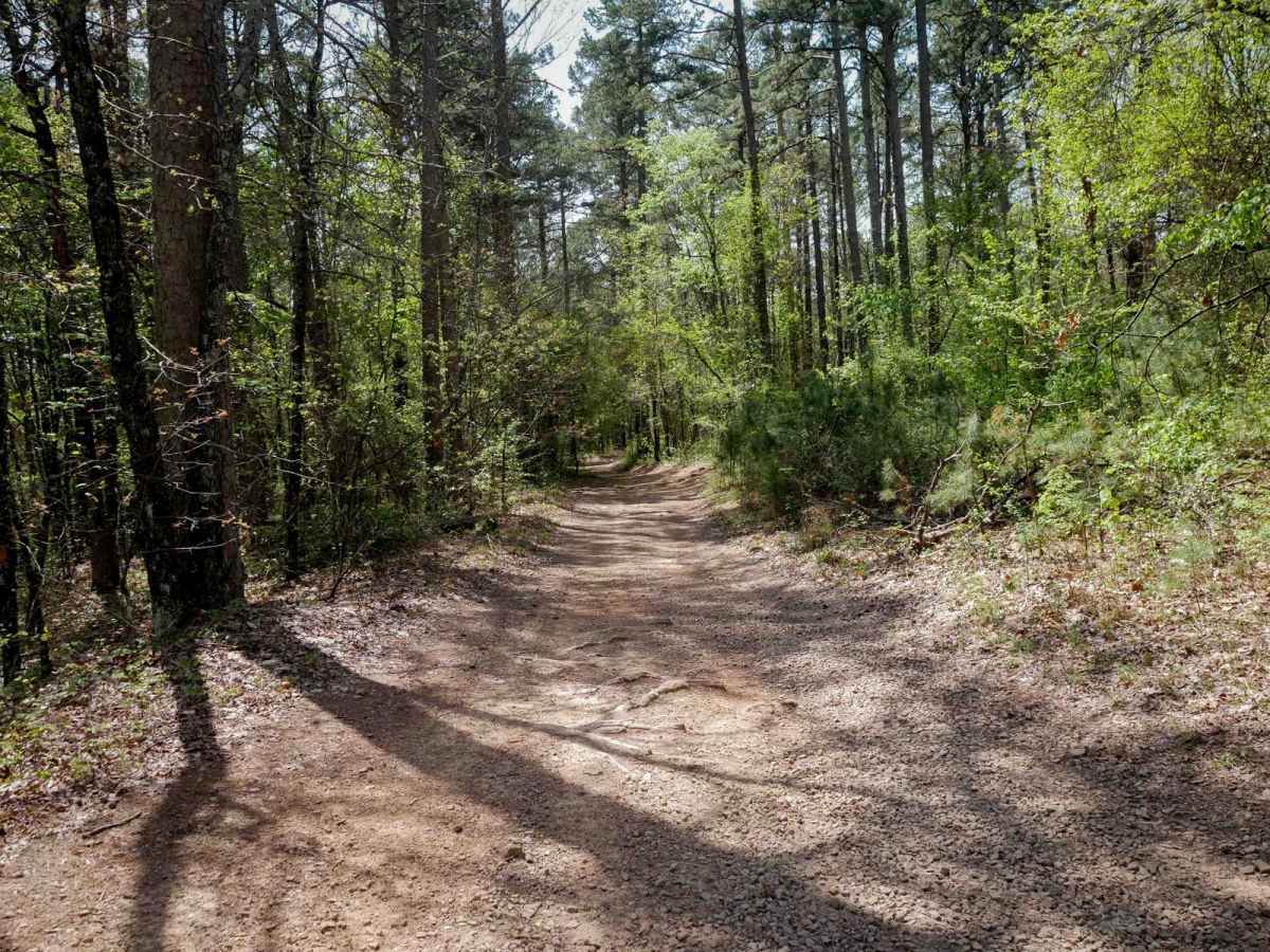 A trail photo