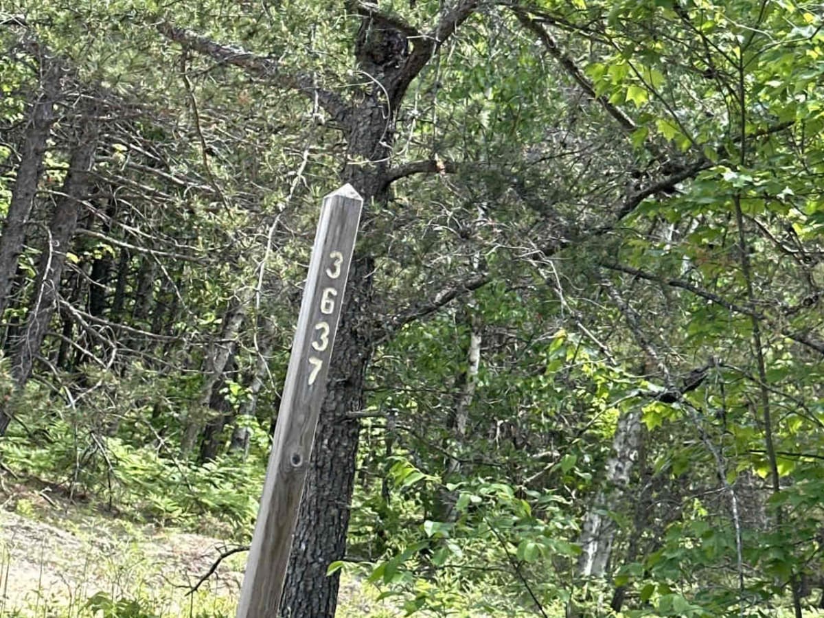 FS 3637 trail photo