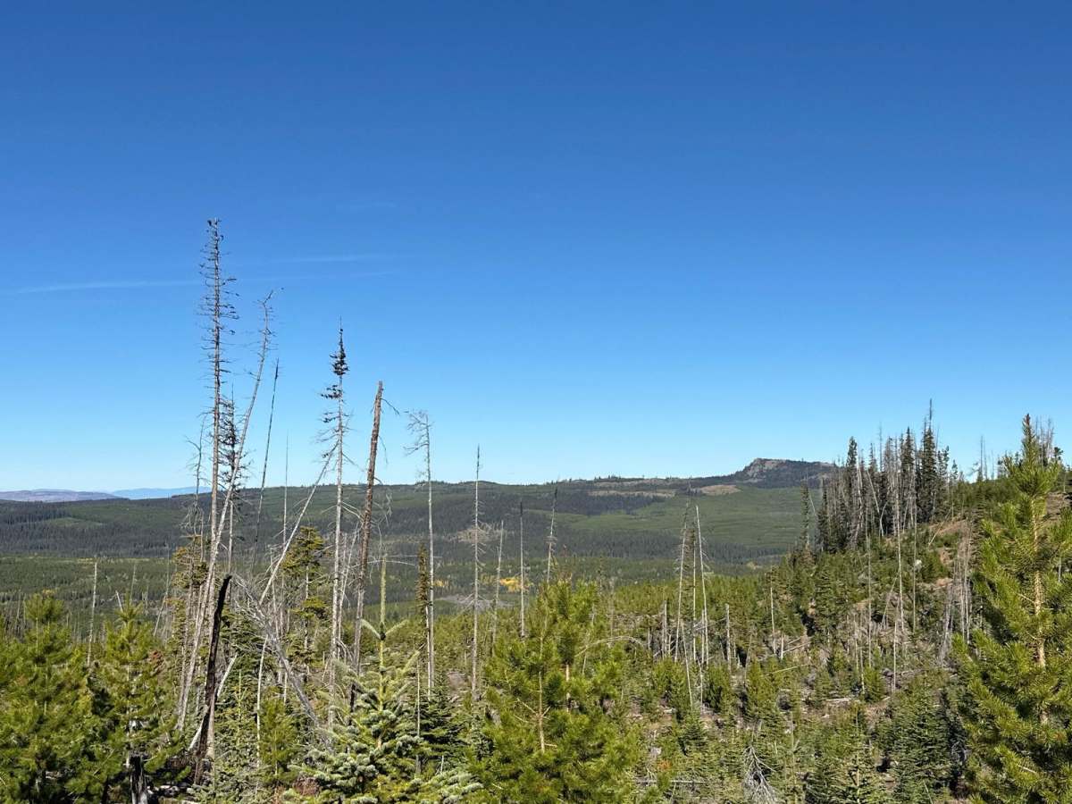 Chuwhels Mountain Road photo 5