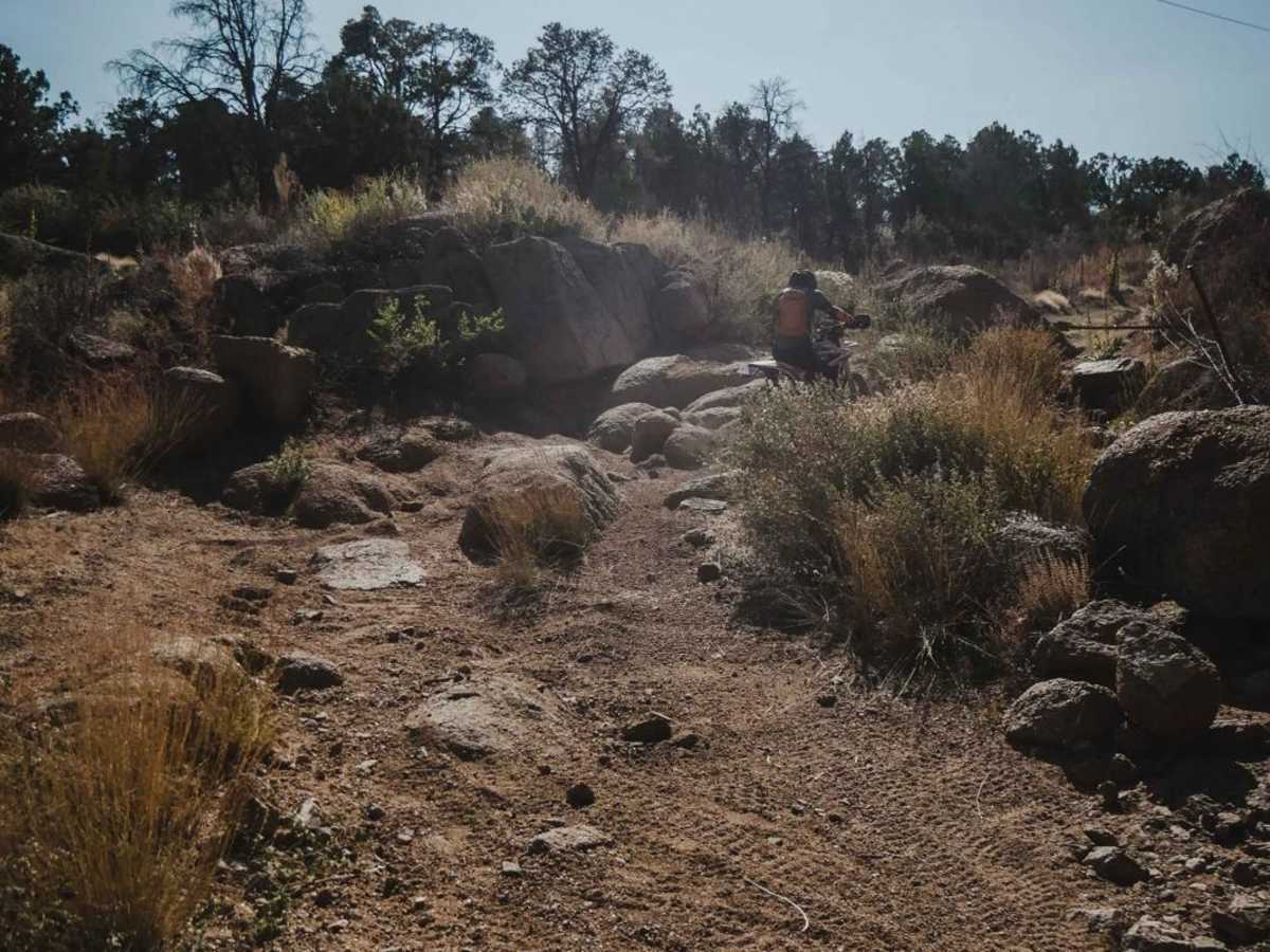 Trail 1 photo 5