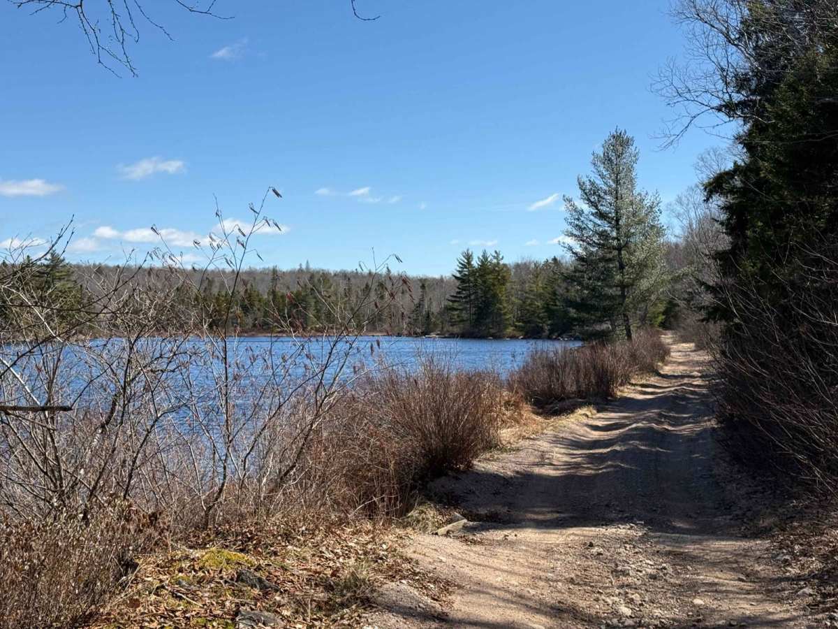 South River Lake Trail photo 3