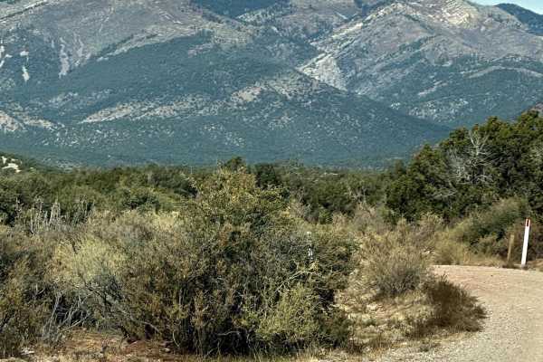 FS 422 Priest Canyon