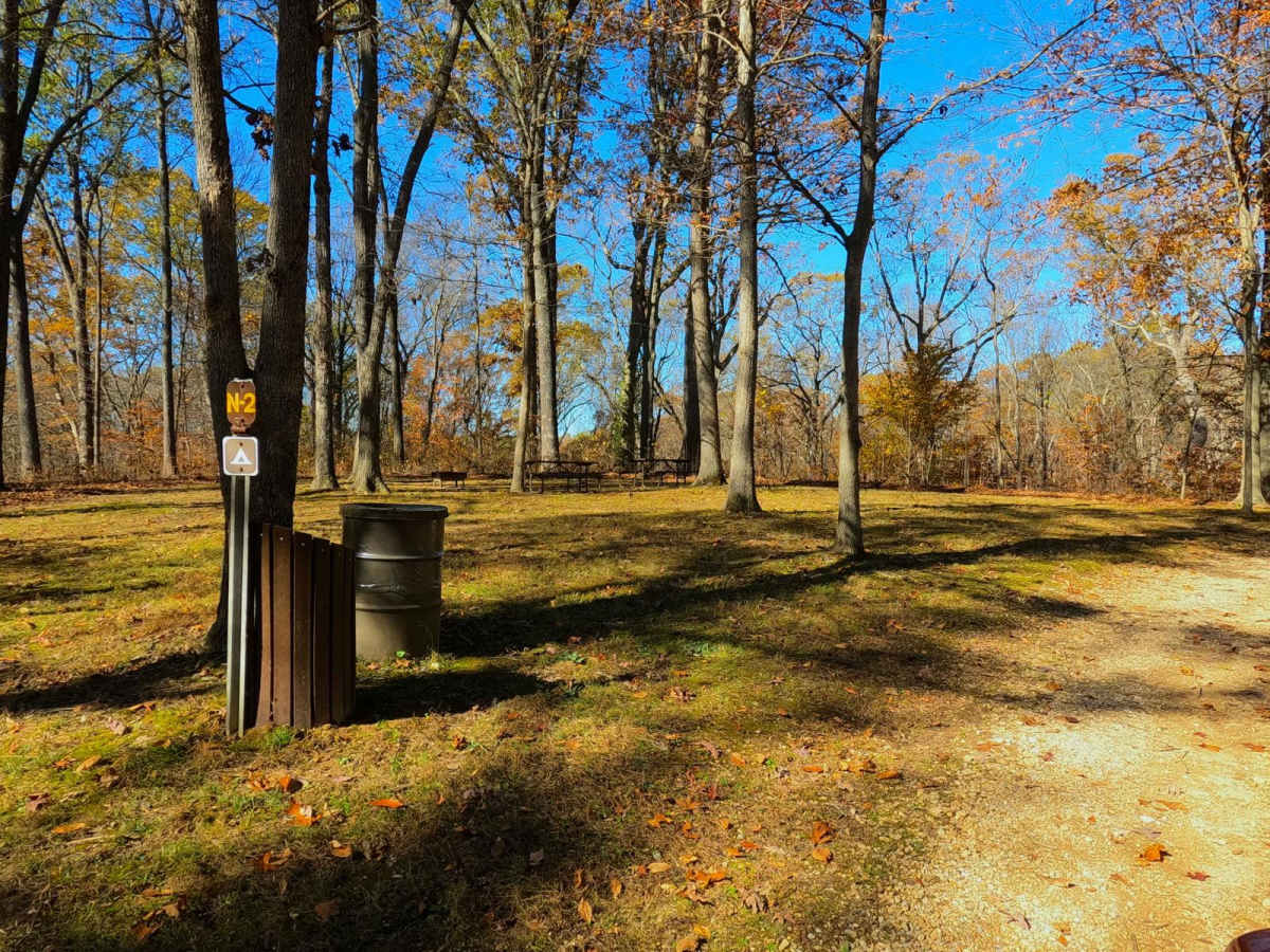 North Forest Road photo 6