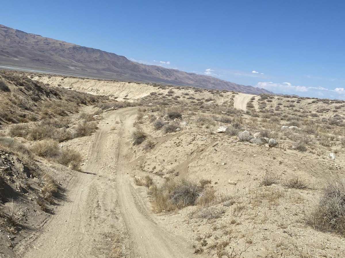 Winnemucca Lake School Buses photo 3