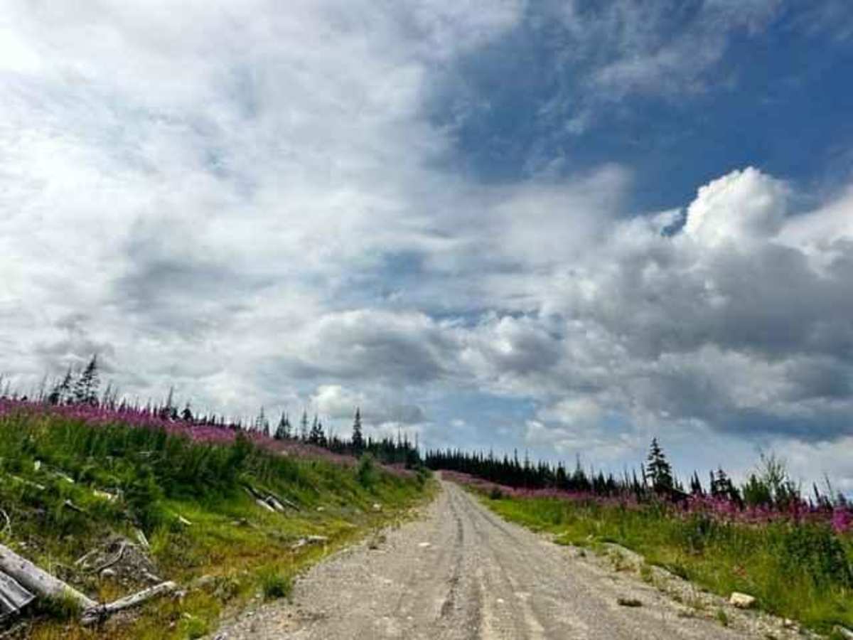 Grower Road photo 4