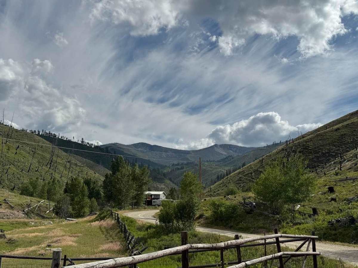 Warm Springs Laird photo 5